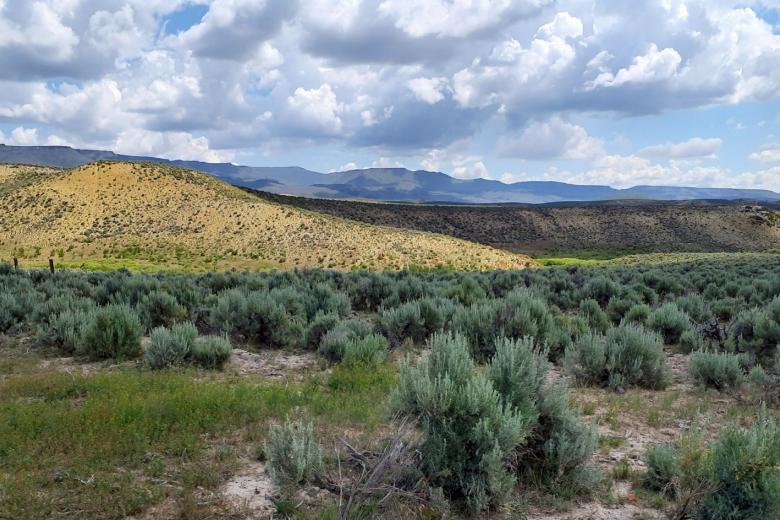 Landscape in southeast Oregon