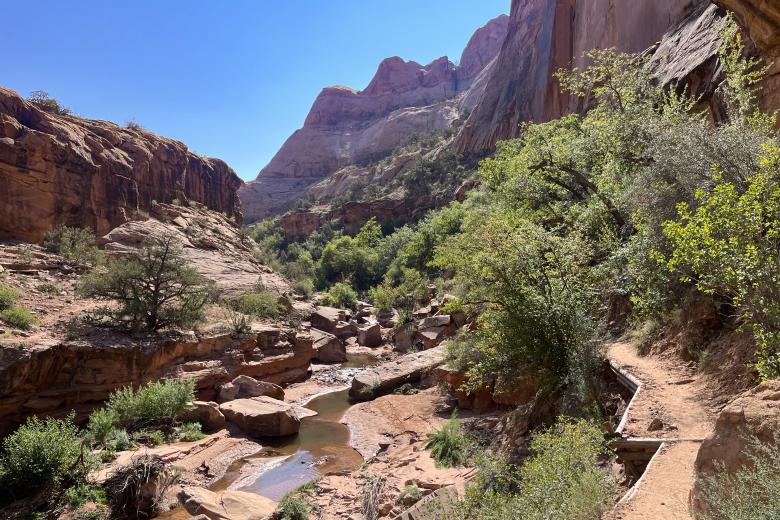 A elevated trail skirts the side of a creek at the bottom of a canyon.