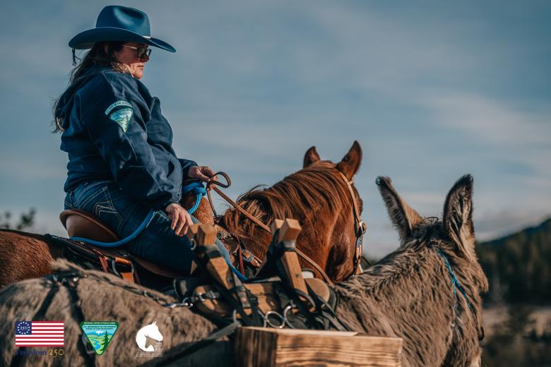 Woman in blue hat and jacket ride brown horse next to gray burro