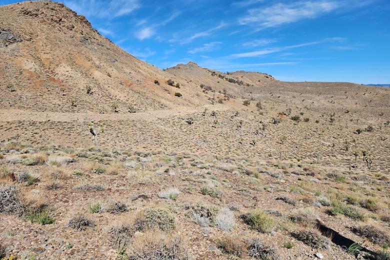 A dirt road in a brush covered desert.