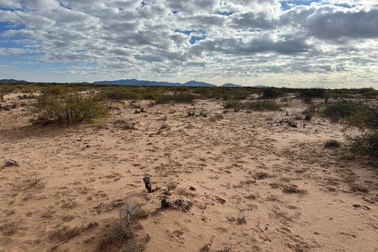 Photo of southwestern New Mexico Landscape