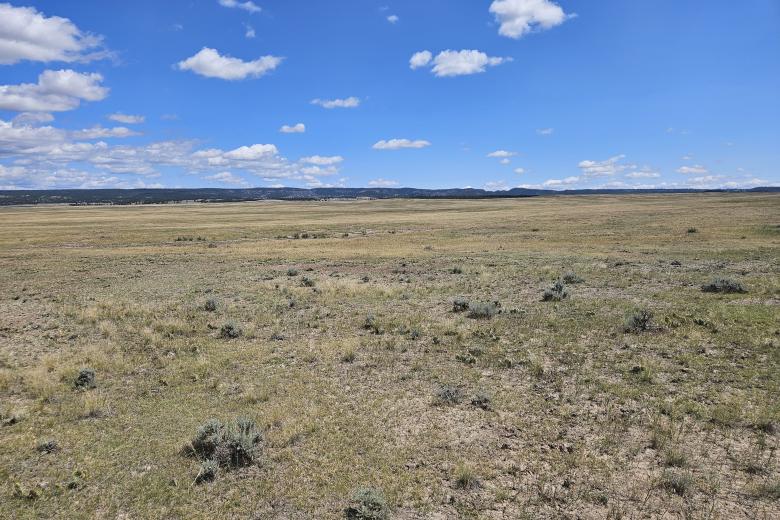 a photo of an open field with distant hills in the background under a blue sky with minimal cloud coverage