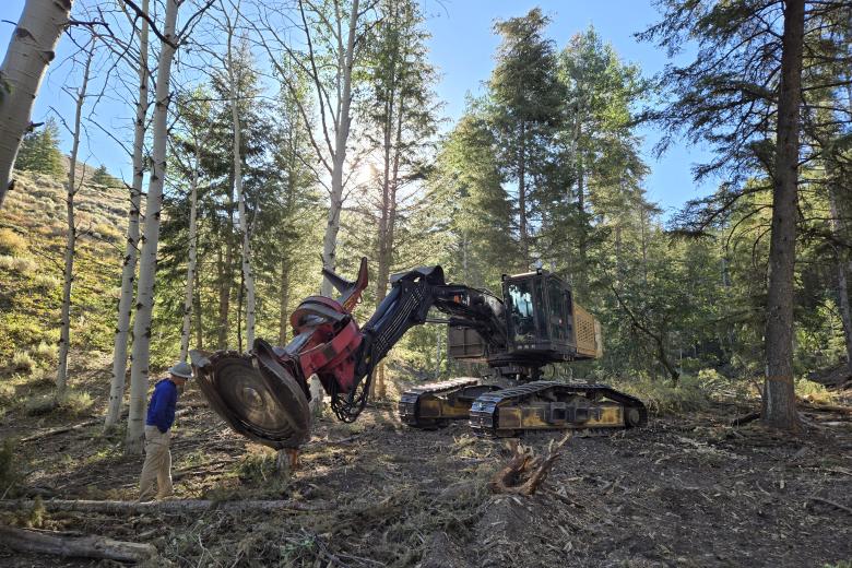 Buncher working