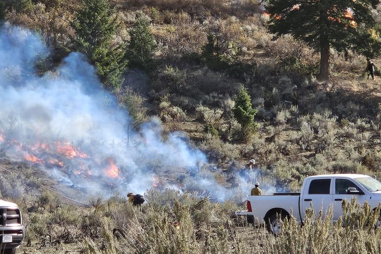 Workers closely monitoring a prescribed fire