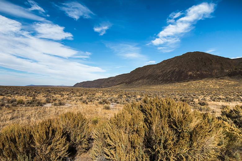 SE Oregon Resource Management Plan Amendments