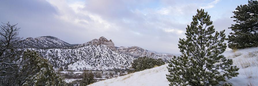 New Mexico Winter Landscape