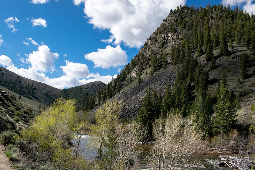 Encampment River trail overlook