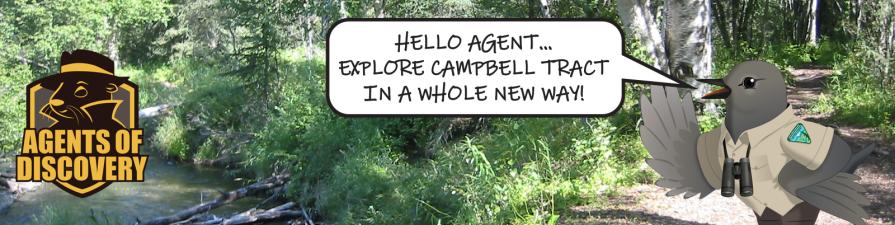 Agents of Discovery logo. Campbell Tract in the summer with creek and trail. Agent Dipper saying: HELLO AGENT... EXPLORE CAMPBELL TRACT IN A WHOLE NEW WAY!