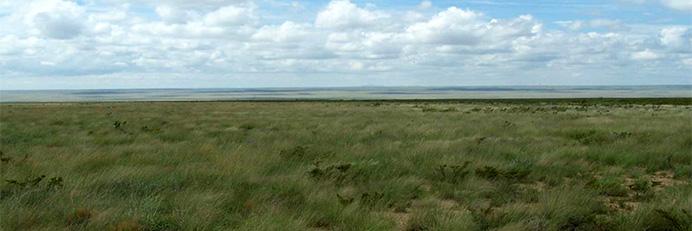 A wide view of the McGregor Range with native grasses in the foreground and light cloud cover.