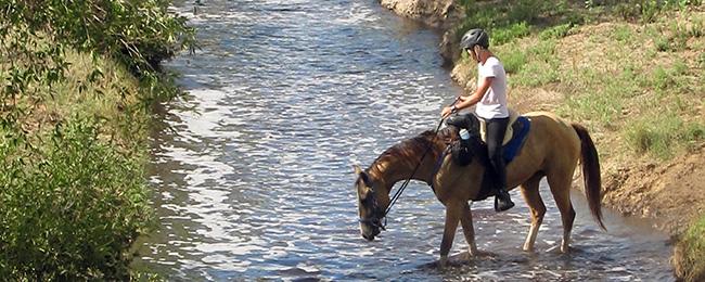 A horse drinking from the Rio Bonito
