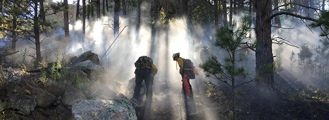 Wildland firefighters near Newcastle, Wyoming. Photo by Paul Hohn
