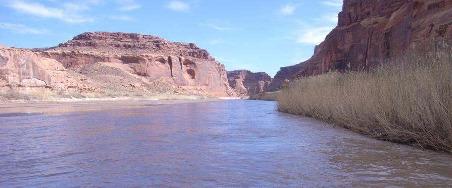 wide murky river in canyon with uplifted cliffs in background. Clear blue skys
