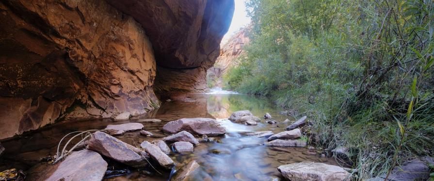 perennial stream within a canyon bordered by sheer walls of Navajo sandstone