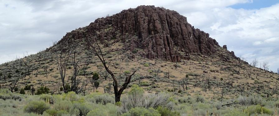 Foothill mountain in distance with shrubs in desert environment 