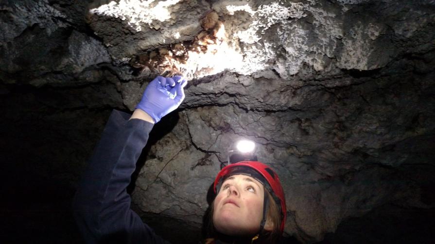 A women examines the roof of a cave in Idaho. BLM photo.