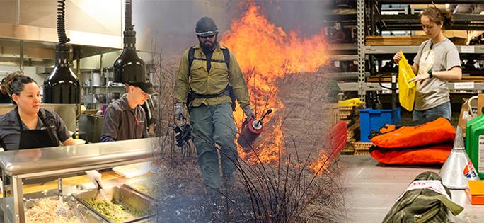 Graphic showing three different photographs showing a woman serving dinner, a firefighter lighting grass on a fire and a woman folding a bag in a warehouse.