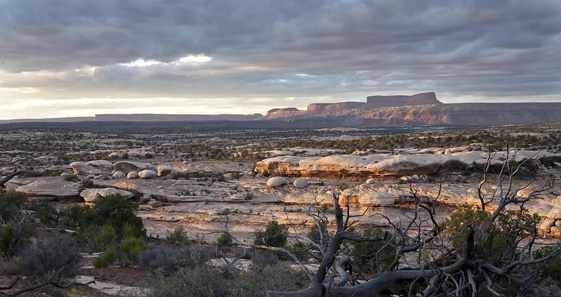 Landscape view of Grand Gulch.