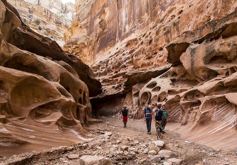 People walking in a deep, rocky canyon.