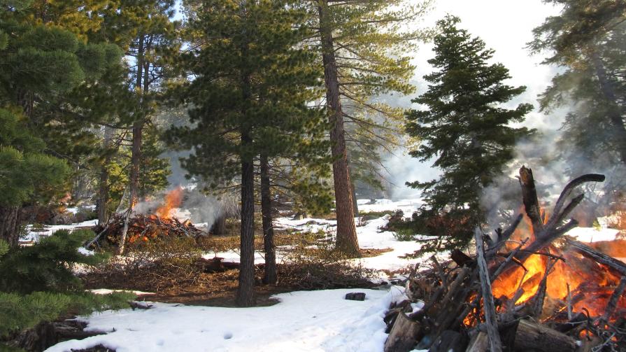 two burning piles of wood