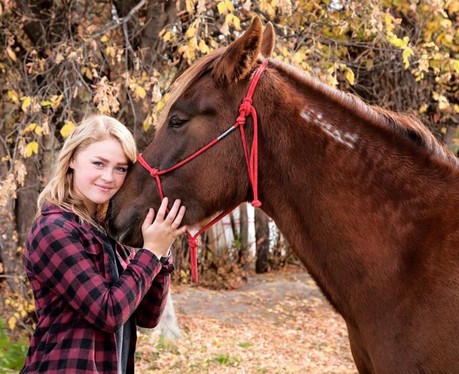A person in a red and black plaid shirt gently interacts with a brown horse wearing a red bridle, surrounded by autumn foliage.