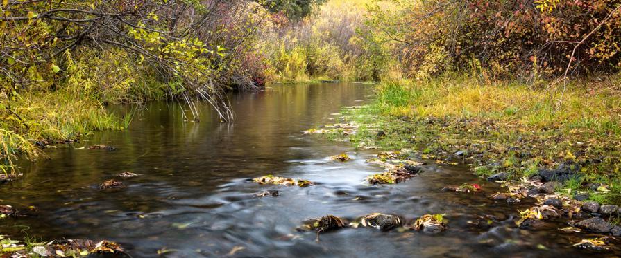 North Fork Owyhee Wild and Scenic River