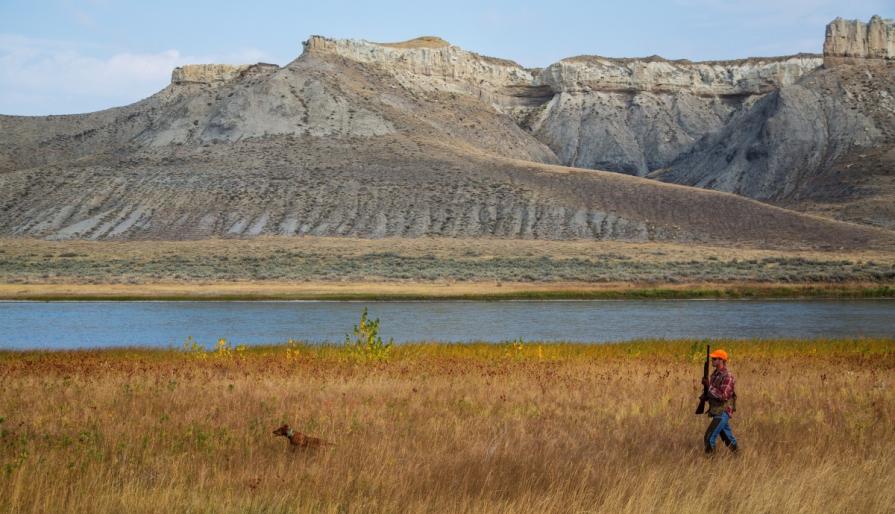 A hunter and his dog cross the fields at Upper Missouri River Breaks in Montana.  Photo by Bob Wick, BLM.