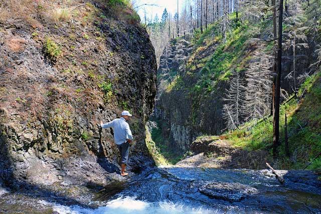 South Fork Clackamas Wild and Scenic River