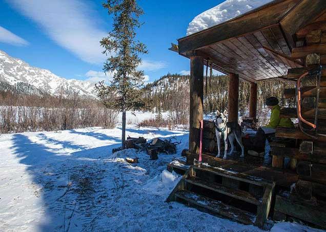 Artist in Residence for the White Mountains