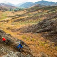 Mountain Biker