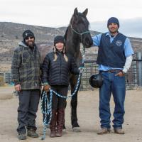 Wild horse Feather with adopters at NNCC.