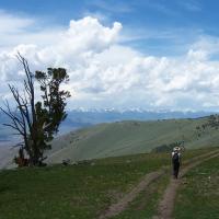 A hiker walking along a trail.