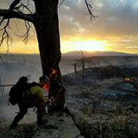 Wildland Fire Fighter 