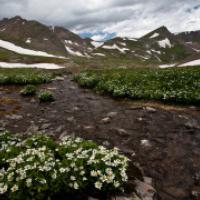 A foreground of a very clear and shallow stream with snowy mountains in the background
