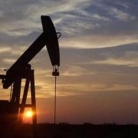 Oil and Gas Lease Sale