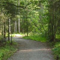 Campbell Tract Moose Track trail