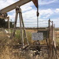 An abandoned well with vegetation growing through it
