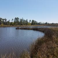 Bureau of Land Management Acquires Fowl River Access Site in Alabama 