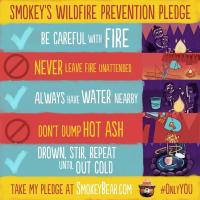 Header Text: Smokey’s Wildfire Prevention Pledge   1st line text: Be careful with fire.  Graphic: Mom and toddler sitting by campfire.   2st line text: Never leave fire unattended. Graphic: Camper fishing with campfire nearby.   3rd line text: Always have water nearby. Campers roasting marshmallows with a bucket of water nearby. 4th line text: Don’t dump hot ash. Graphic:  Shovel dropping hot ash.   5th line:  Drown, stir, repeat until out cold. Graphic: Shovel stirring ash
