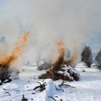 Pile burning project in Oregon