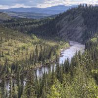 River runs through forested landscape in Alaska