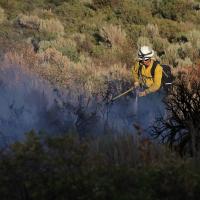 A wildland firefighter holding a water hose and extinguishing a fire in bushes and vegetation. 