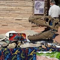 GSENM National Fossil Day display. 