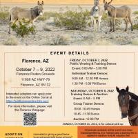 Flyer with photos of burros and a horse that says Give a Good Home to a Wild Horse or Burro
