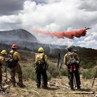 Wildland firefighters watch an airtanker drop retardant on the Horse Park Fire in Colorado in 2018.