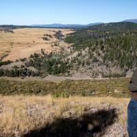 Man stands overlooking rolling hills covered in sagebrush and trees. 