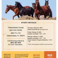 BLM to host Wild Horse and Burro event in Okeechobee, Florida (FLYER)