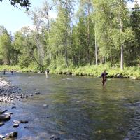 People fishing in a shallow river.