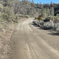 a clear dirt road amidst brush