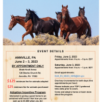 BLM to host wild horse and burro event in Annville, Pennsylvania