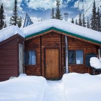 Coldfoot cedar cabin during the winter. Snow is piled on the roof and around the cabin. A narrow trail leads to the front door.